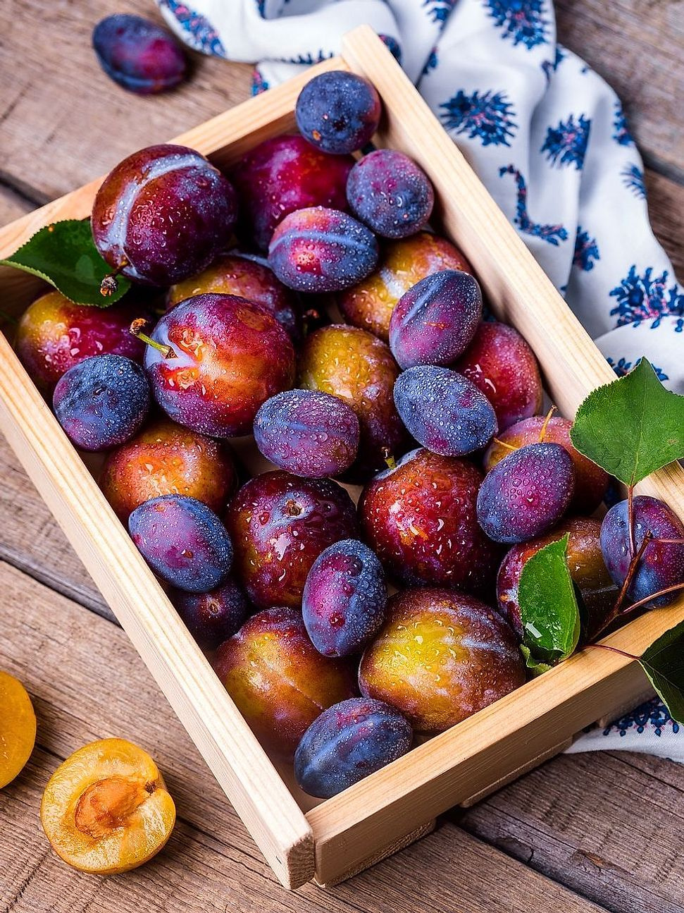 The Berry Bundle